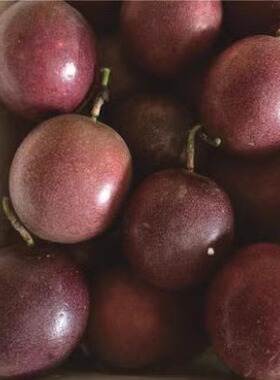 云南德宏特产紫色百香果西番莲超香醇酸甜果现摘500克1斤装