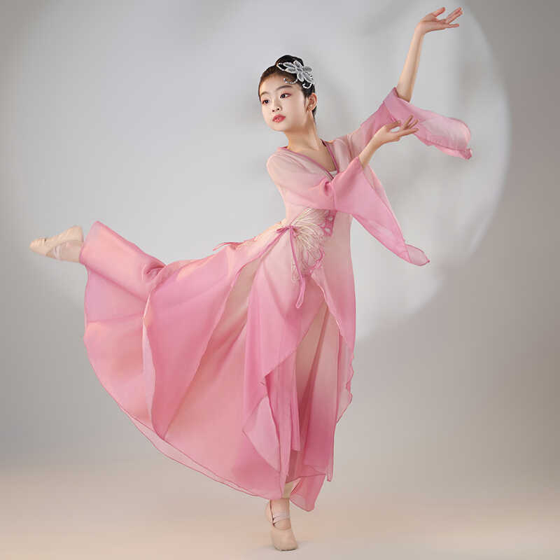 古典舞身韵纱衣舞蹈练功服仙气古风中国舞演出服学生艺考表演服女
