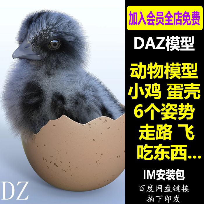 daz3d模型 动物小鸡 蛋壳6个姿势走路飞吃东西 im包 会员新品j651