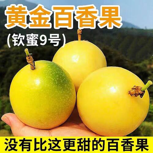 黄金百香果钦蜜9号（8甜2酸放黄在吃）不怕冻 皱皮花皮是成熟现象