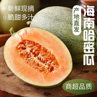 正宗海南哈密瓜当季新鲜水果现摘西州蜜瓜脆甜小甜瓜龙纹密瓜
