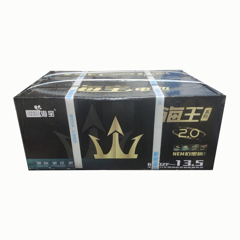 电动车电瓶海宝48v捷安特