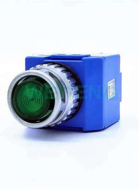 10年老店 韩国YongSung龙声 YSNPBL2-T22A 按钮指示灯220V 绿色