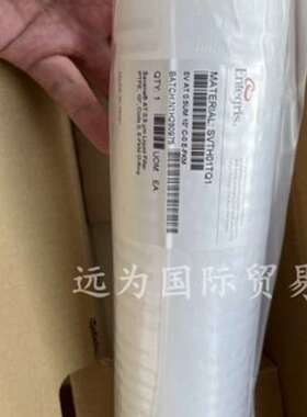 WGGB01KAN，Entegris过滤器，滤芯，焊枪