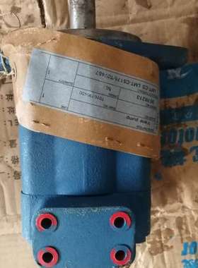 VICKERS泵 LMT-CS 175/T07457 20V8A 1A 22R 213710 1B/08/H