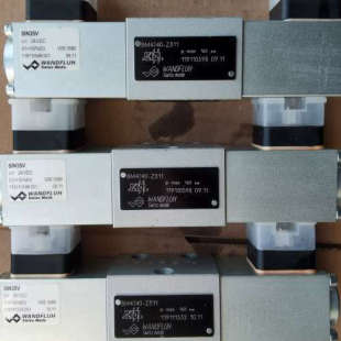 BM6D42 Z301 Scana电磁阀304.224.21WANDFLUH万福乐BM4J40 BSGK