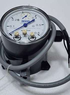 WIKA DPGS40TA DELTA-comb DPGS40TA.100-DZZ 0-0.6 BAR