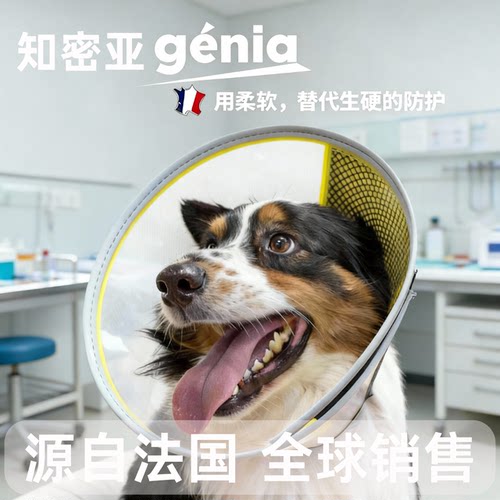法国知密亚genia宠物伊丽莎白圈猫咪头套绝育项圈防舔猫圈脖圈狗