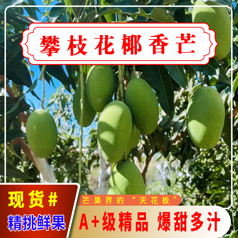 攀枝花椰香芒树上熟新鲜芒果5/9斤当季孕妇水果青皮鸡蛋芒包邮甜