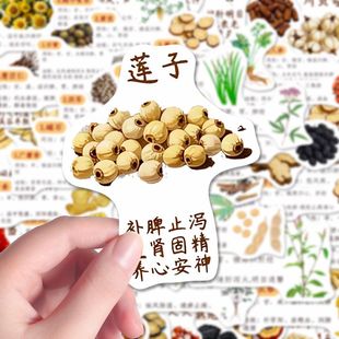 饰手机手账桌面 112张常用药材贴纸每日认识一味素材贴画diy装