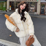 超好看设计感彩色线条羽绒棉服女2024冬季新款高级感洋气棉衣棉袄，女装棉衣/棉服，浙宝173