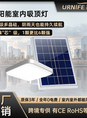 新款led太阳能吸顶灯 室内阳台过道节能灯 一拖二分体式庭院LED灯