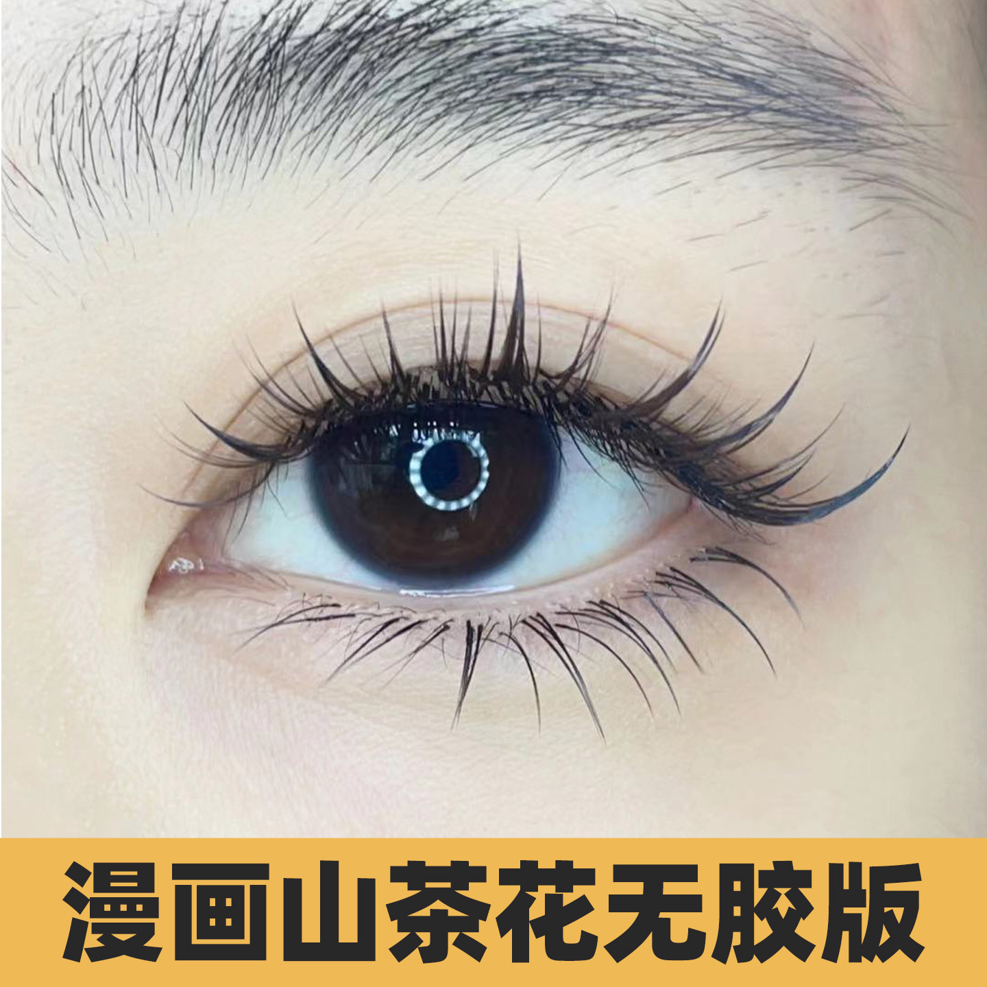 MTP山茶花多開花中式漫畫仙子款