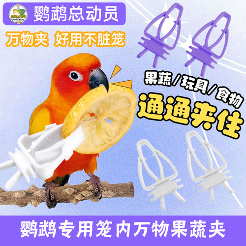 鹦鹉水果挂钩夹子叉子墨鱼骨固定蔬菜零食鸟笼夹多功能鹦鹉玩具