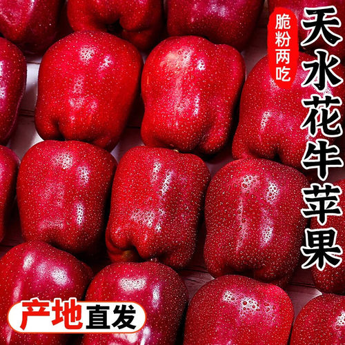 【脆粉两吃】甘肃天水花牛苹果3-9斤新鲜水果小苹果【百补2】