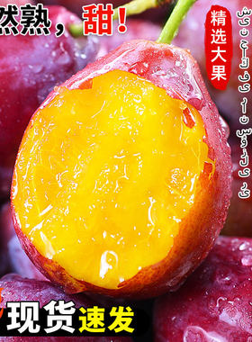 正宗新疆甜西梅大果当季新鲜水果