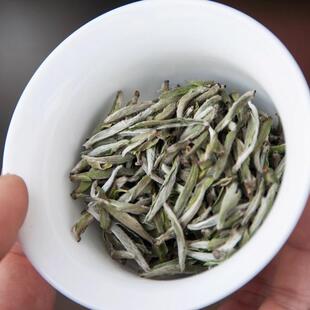 白毫银针福鼎白茶茶叶官方旗舰店太姥2023年春头采特级银针礼盒装