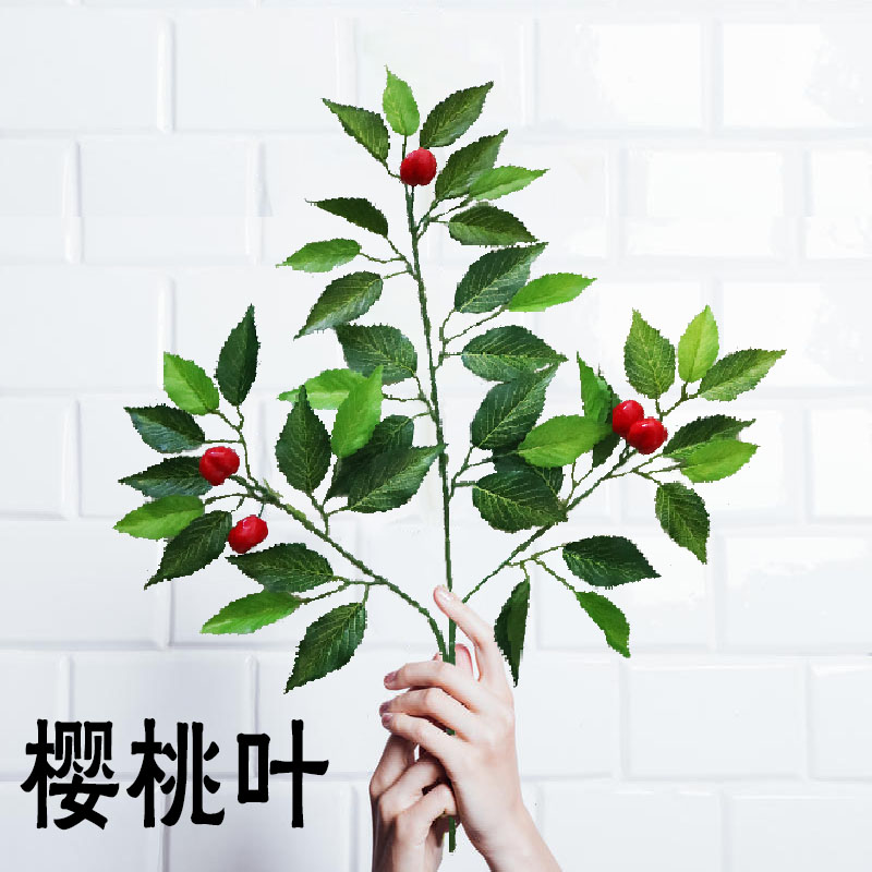 仿真樱桃叶子带果树叶假叶片摆放假树叶材绢布绿植车厘子树枝叶