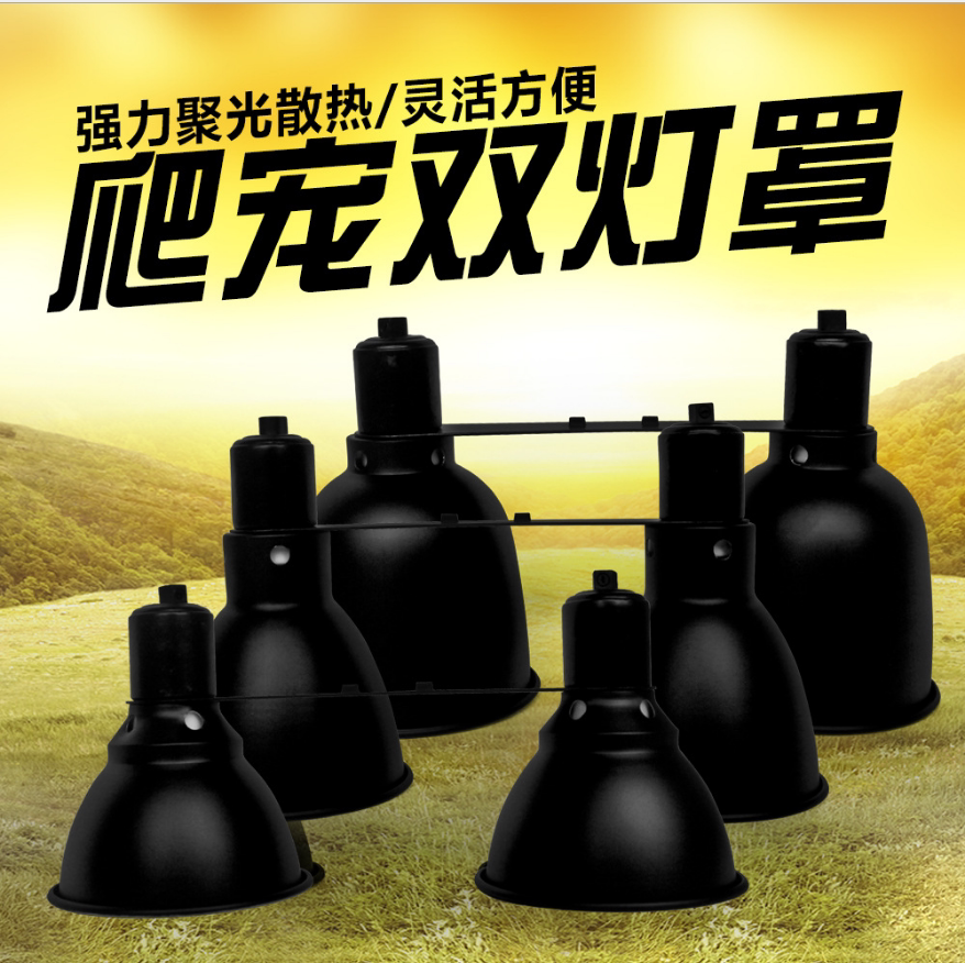 诺摩爬虫爬宠5.58.5蜥蜴