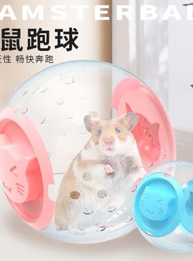 仓鼠跑球金丝熊跑步运动滚球轮造景玩具外带Hamster running ball