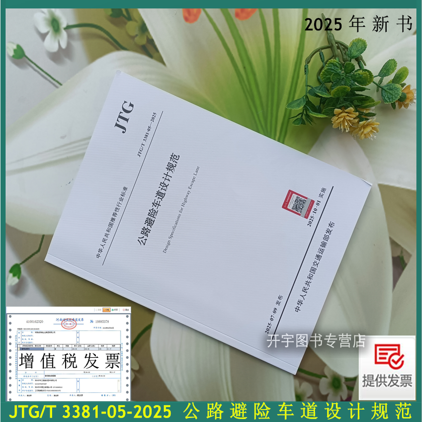 2025年公路避险车道设计规范