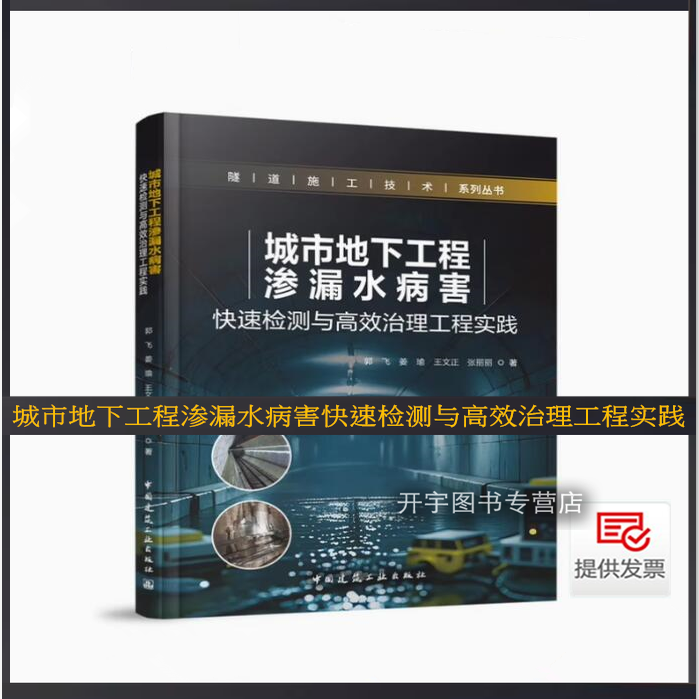 正版 城市地下工程渗漏水病害快速检测与高效治理工程实践 郭飞 等著 地下工程设计施工运维单位技术人员及城市基础设施管理者参考