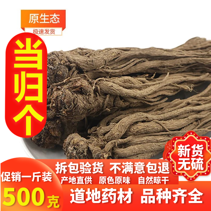 纯野生大当归整根可切片甘肃岷县特产深山野生老当归个新货无硫熏