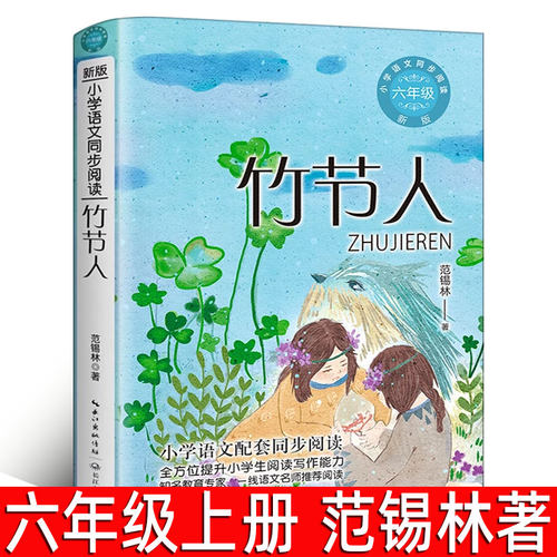 竹节人书范锡林六年级阅读正版