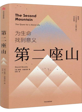 第二座山戴维布鲁克斯著