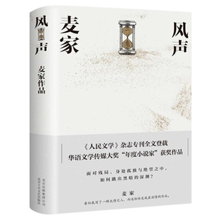 风声 茅盾文学奖得主麦家代表作 继鲁迅钱钟书张爱玲后入选英国企鹅经典文库的当代作家 读客 同名电影原著小说