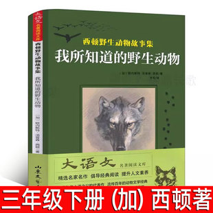 我所知道的野生动物 （加）西顿著 西顿野生动物故事集三年级下册必读课外书正版小学生寒假推荐阅读书籍儿童读物 山东文艺出版社