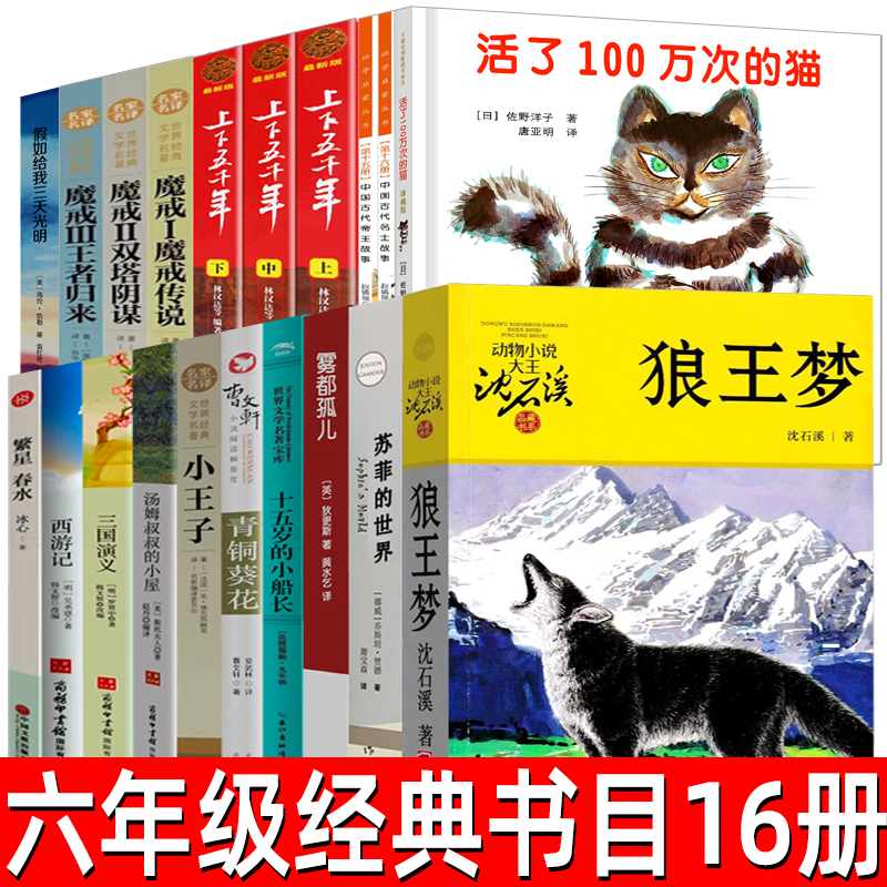 六年级必读书目王梦苏菲世界七号