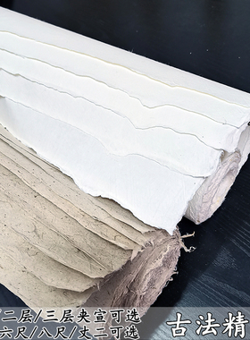 四六尺加厚长纤维本色云龙皮纸二三层夹宣书法重彩国画半生熟宣纸