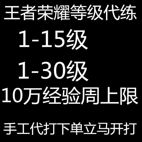 王者荣耀代练手游周经验上限等级代练19-21--30级金币安卓苹果