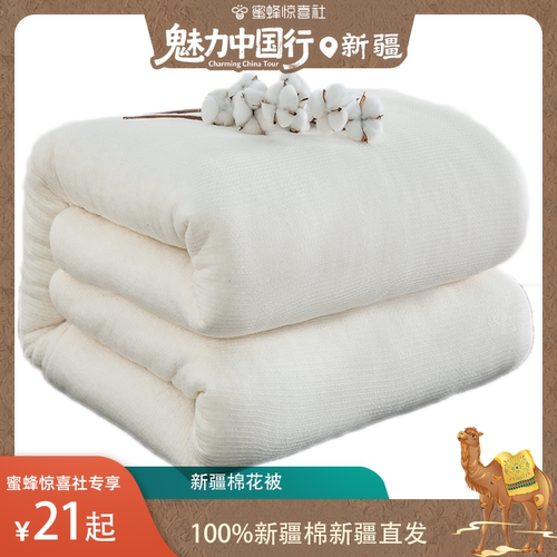 【加购！7月26号新疆溯源】疆艺品新疆棉花被保暖纯棉被芯