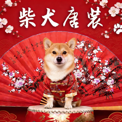 柴犬唐装狗狗喜庆衣服宠物中式婚礼写真拍照红色衣服中国风柯基