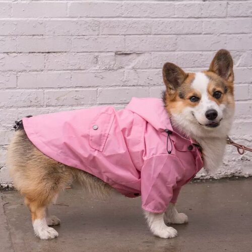 宠物防风防雨冲锋衣狗狗防水雨衣