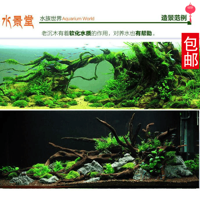 沉木造景套餐 鱼缸水草套装 过滤器过滤设备 景观水族箱增氧