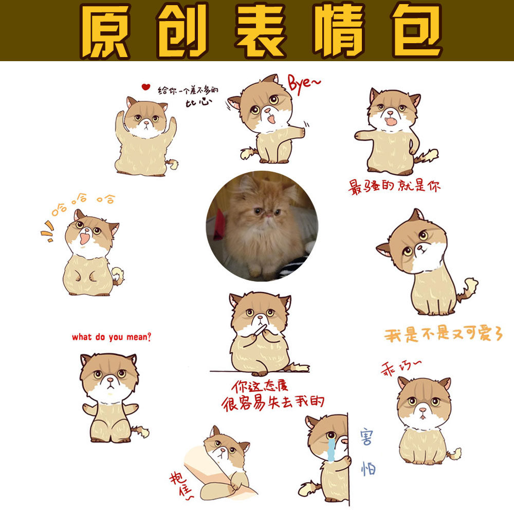 【表情包】q版卡通头像设计手绘真人漫画人物动漫形象原创宠物