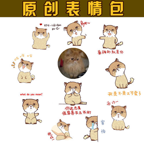 【表情包】Q版卡通头像设计手绘真人漫画人物动漫形象原创宠物