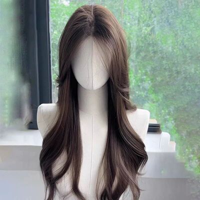 Long Wavy Brown wigs Lace front Wigs for Women Middle Part H
