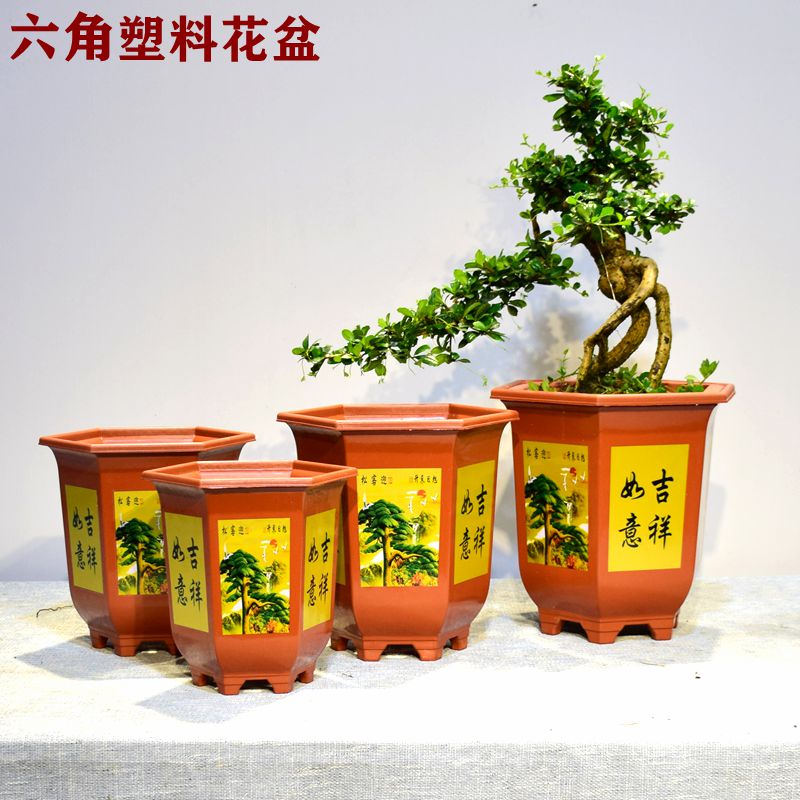 六角塑料盆景花盆加厚耐用加高客厅直销花盆