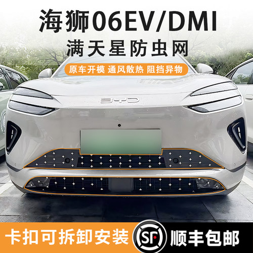 比亚迪海狮06DMI/EV满天星防虫网