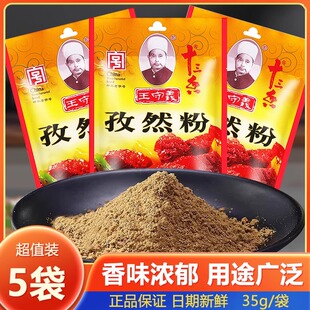王守义孜然粉35g烧烤调料撒料家用原味辣椒粉正宗