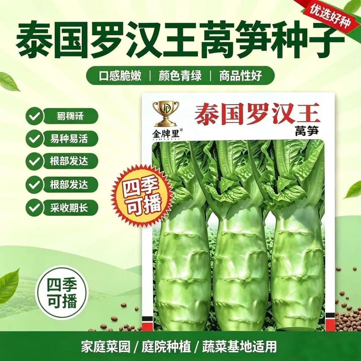 泰国罗汉王莴笋种籽子早春夏秋种植莴苣蔬菜种子莴笋耐寒四季菜种