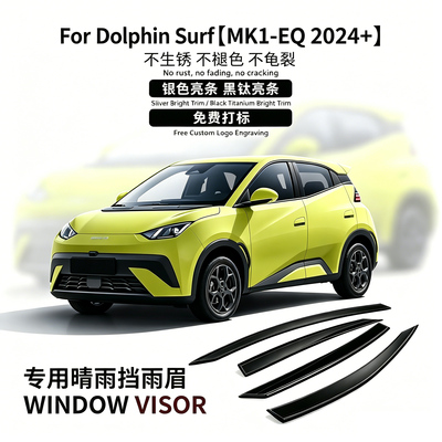 饰享2024款海豚Surf晴雨挡