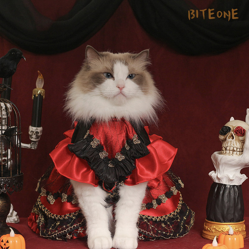 BITEONE 【预售】猫咪衣服【暗夜觉醒】万圣节主题公主裙