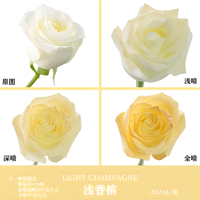 香槟色鲜花喷漆金色鲜花喷漆香槟色喷漆