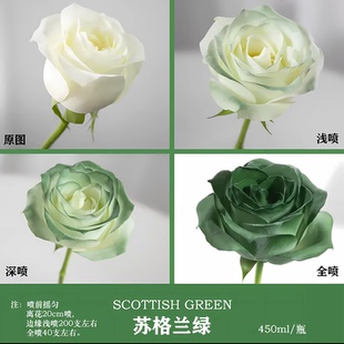 苏格兰绿喷漆玫瑰鲜花碎冰蓝珠光喷色剂干花染色喷雾花艺彩喷绿色