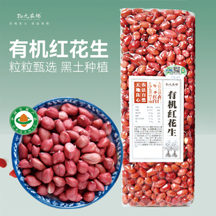 有机红花生东北农家四粒红皮生花生米仁800g熬粥豆浆盐焗糖炒花生